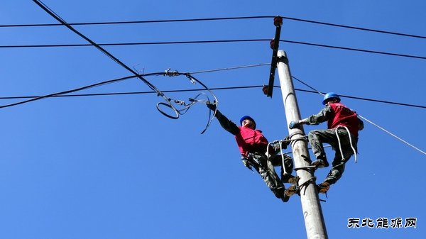 佳木斯供电公司：高温下的抢修