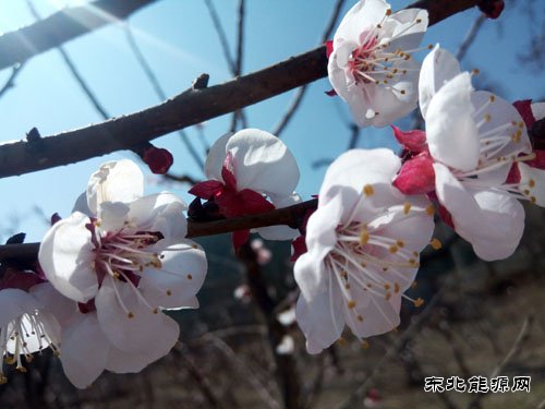 在春天里找回自己