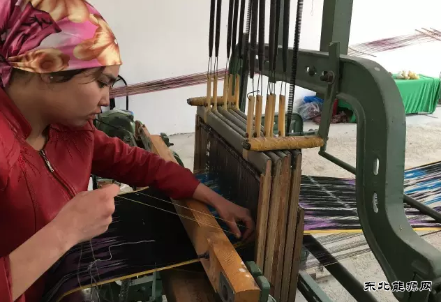 布谷鸟翅膀的花------新疆兵团皮山农场第二创业园走访记