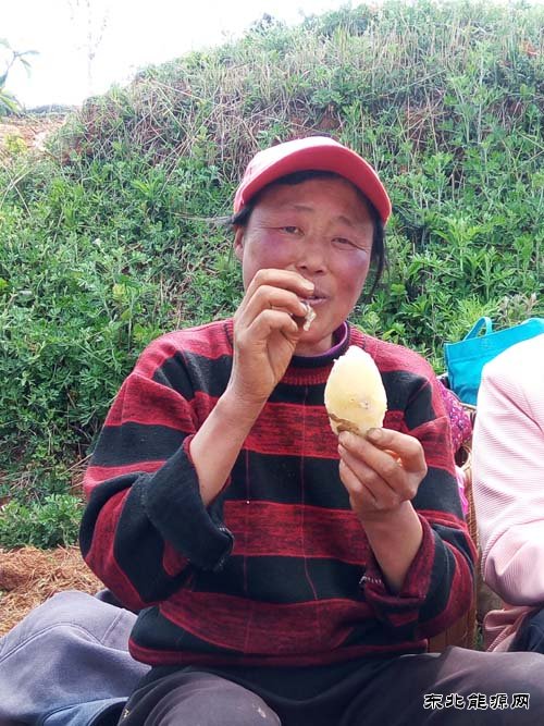 大山里那份最纯朴的美