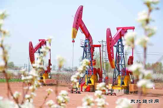 梨花深处巡井忙