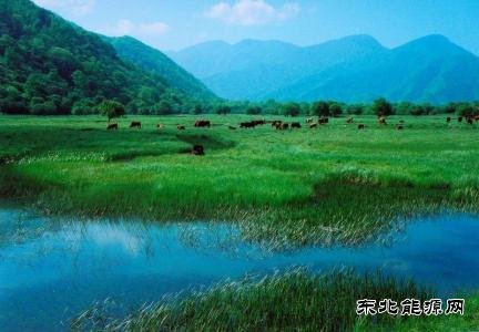 内蒙古全力抓好“一湖两海”生态治理整改