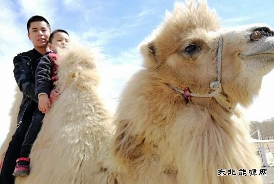 一心苦干保生产  青春无悔献矿山