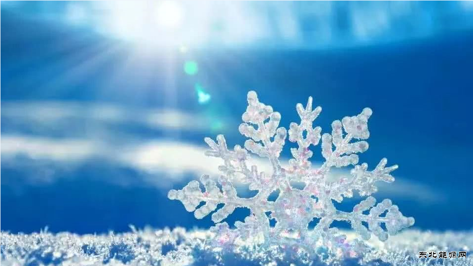 这个冬天，愿你安好