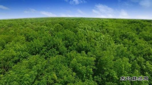 2020年全国生态环保工作 重点划定