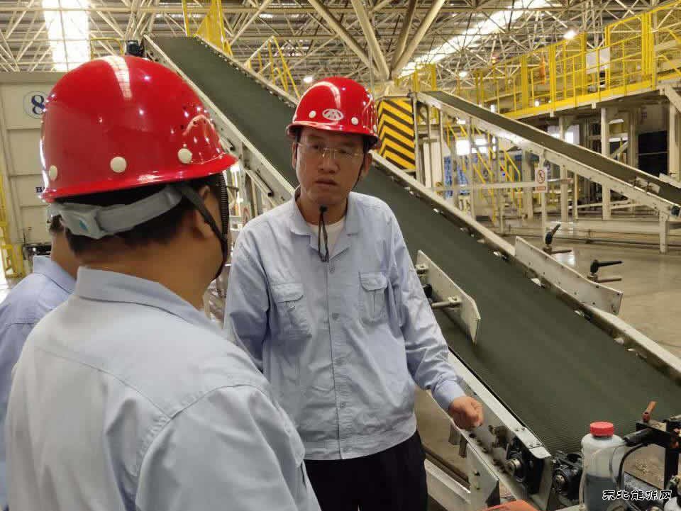 奔跑在“走出去”路上的一匹“黑马”