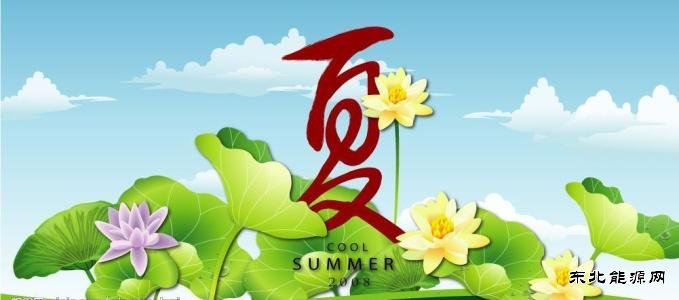 夏季，如此有诗意