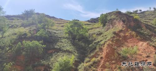 陕煤陕北矿业涌鑫公司：“顺道”回家的路