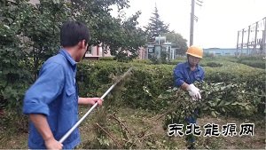 蒲白热电公司：人性化管理显担