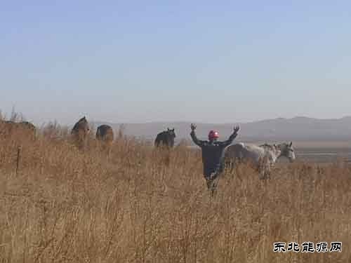 大唐呼伦贝尔完美体育公司：抗疫36小时