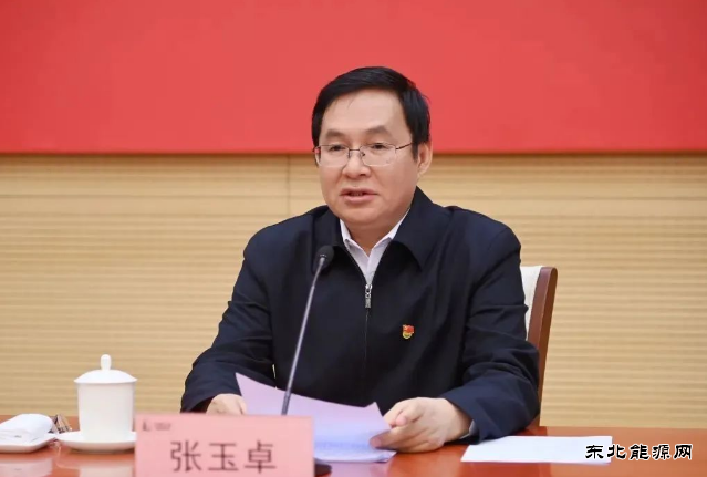 张玉卓：强化国有资本对电网等领域投入