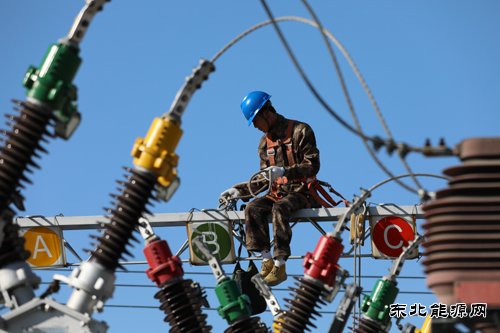 国网九三供电公司：多举并措 强基固本 全力保秋粮