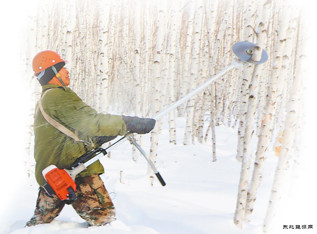 大兴安岭：养绿护绿 久久为功