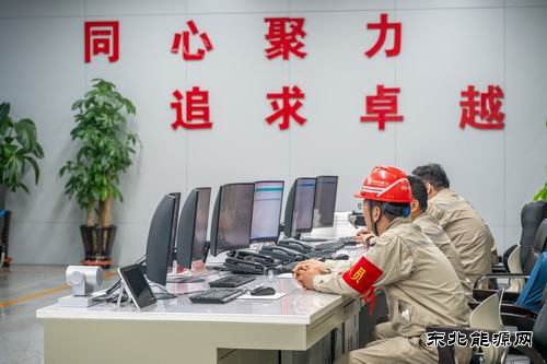 大唐沈东热电公司：全力以赴做好党的二十届四中全会保电工作