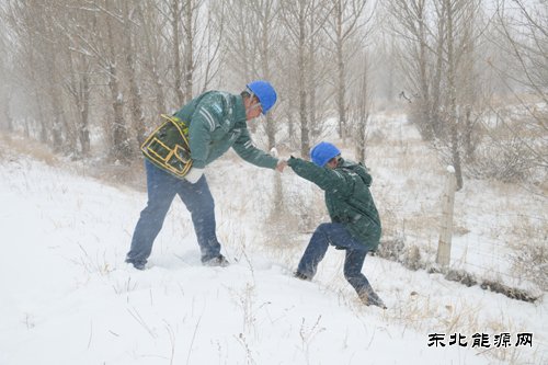 国网巴林右旗供电公司：迎寒而上保供电