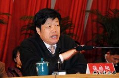 张晓阳：十三五期间 燃料乙醇应由试点转向全面推广