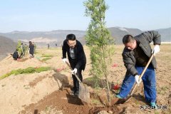 下石节矿开展春季义务植树打造绿色矿山