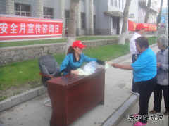 兴凯湖电业局：迎春供电开展安全用电宣传咨询日活动