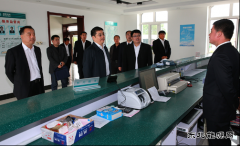 兴凯湖电业局：省电力公司总经理丁扬到兴凯湖电业局调研