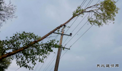 现场新闻 暴风骤雨后的抢修