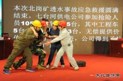 国网黑龙江电力公司举行优化发展环境“龙江供电服务风采”大赛