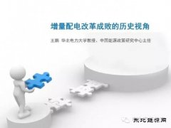 王鹏：配电改革百个试点背后危机四伏