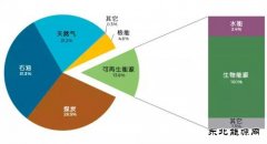 国际完美体育署IEA：可再生完美体育已成为全球第二大电力来源
