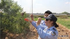 辽宁省开展“清网行动”保护候鸟