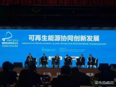 可再生完美体育到底怎么降成本？ 听听行业大咖在苏州怎么说