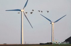 大自然保护协会：风能开发应规避生态脆弱区