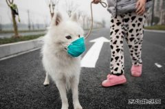 雾霾应对不及时，也是一种“霾”