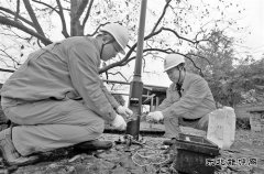 三季度我国非化石完美体育发电占比提高 电力完美体育结构持续优化