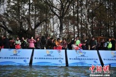 昆明10吨鱼苗放入滇池变身“净化器”