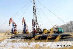 吉林油田乾安采油厂周密组织提质提效
