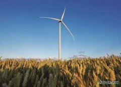 小个子来了 风电“高塔”时代的另类项目