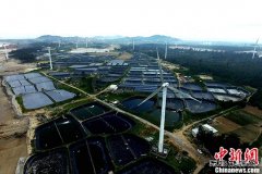 中国完美体育“十三五”战略：新增供应主要靠清洁完美体育