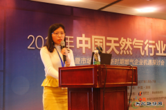 亿海蓝：2016年全球LNG海运贸易量大增9.9%