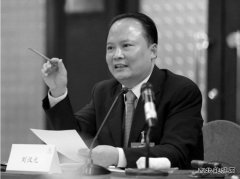 刘汉元：加快光伏产业发展 从根本上破解雾霾之困