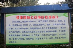 矿工变蔗工：中煤楚源公司拓展农业种植再添优质甘蔗品种