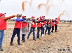 珲春发电：爱护候鸟，展现人与自然和谐之美