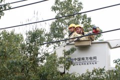 凯供城区分局：清树障保安全助降损