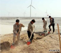 新疆清洁：让风场和戈壁充满绿