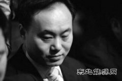 中国光伏“教父”欲华丽回归？