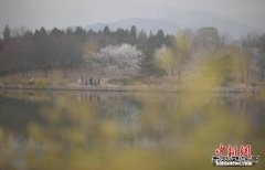 环保部:一些地方政府在重污染天气应对中推诿扯皮