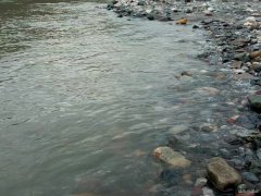 爱上阳春三月天