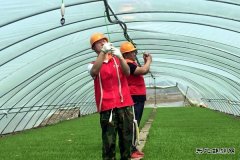 清河林业供电局：党员服务队护航“春耕”