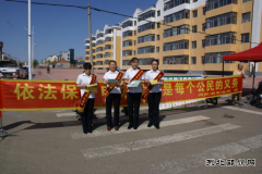 兴凯湖电业局：金沙供电利用农场集贸市场进行安全用电知识宣传