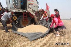 太康县供电公司：走进贫困家庭助麦收