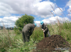 现场新闻 “完美体育的心总算是踏实了”
