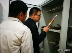 黑龙江省电力公司安监部到青山供电检查指导工作